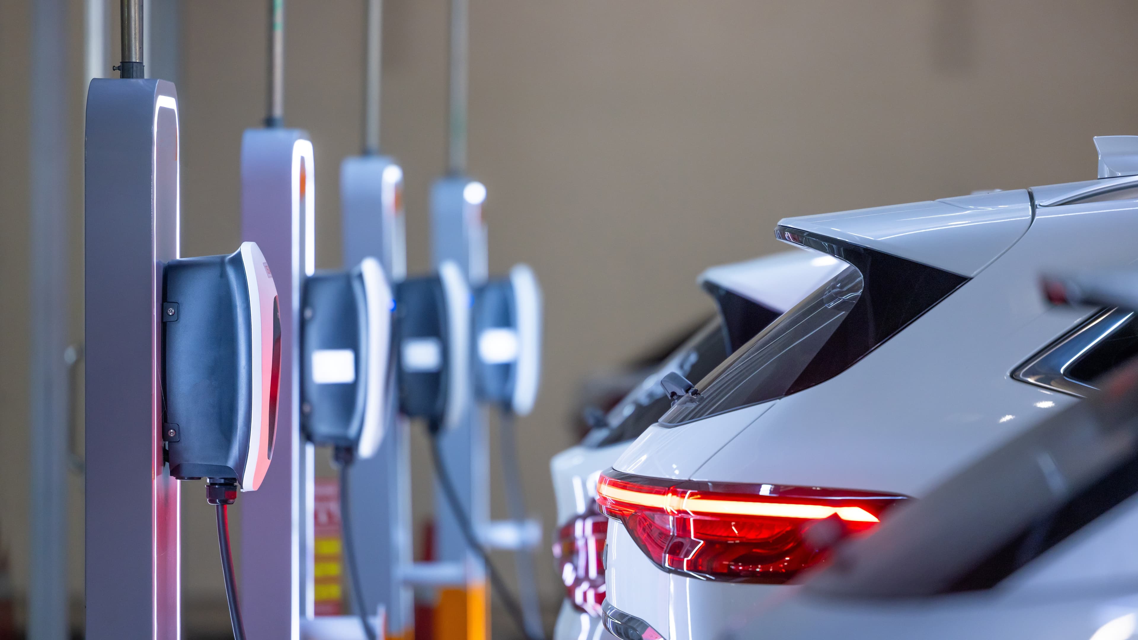 Urheber: Mayy Contributor/Shutterstock